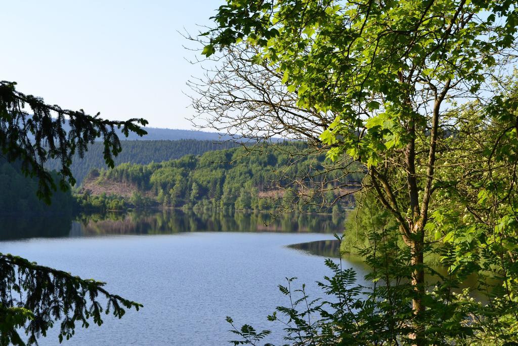 Ferienwohnungen Edelweiss Schulenberg im Oberharz Exterior foto