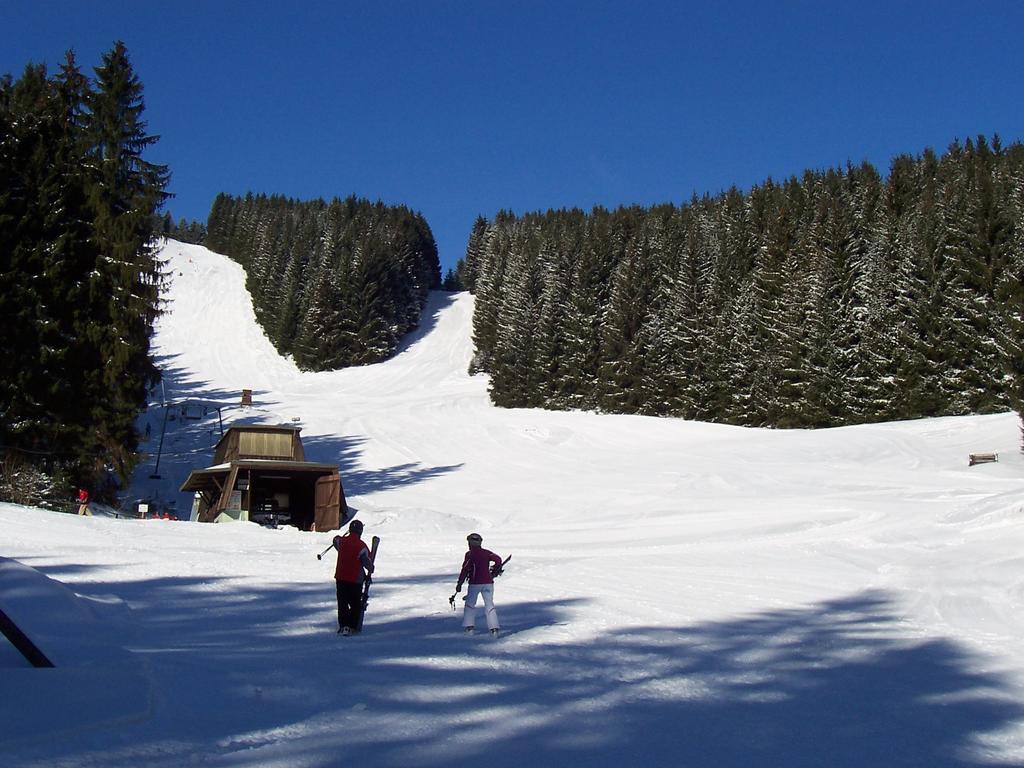 Ferienwohnungen Edelweiss Schulenberg im Oberharz Exterior foto